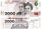 Hoy lunes comienza a circular el nuevo billete de $2.000 "de forma paulatina"