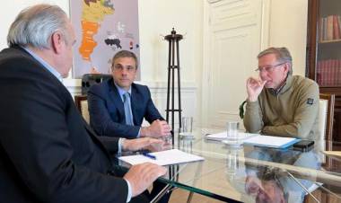 Gobierno negocia precios de la carne para el mercado interno: no se cerraron exportaciones