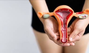 Científicos crean el primer chip del mundo con vagina