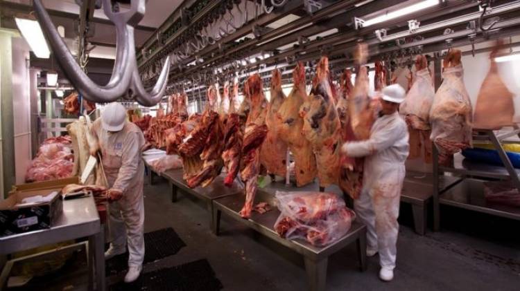 Frigoríficos Santafesinos señalaron que "tras muchos rumores, el gobierno desmintió que se hayan suspendido las exportaciones de carne"
